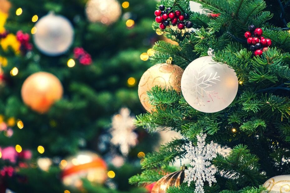 Povestea bradului de Crăciun - între tradiție, credință și bucuria specifică lunii decembrie