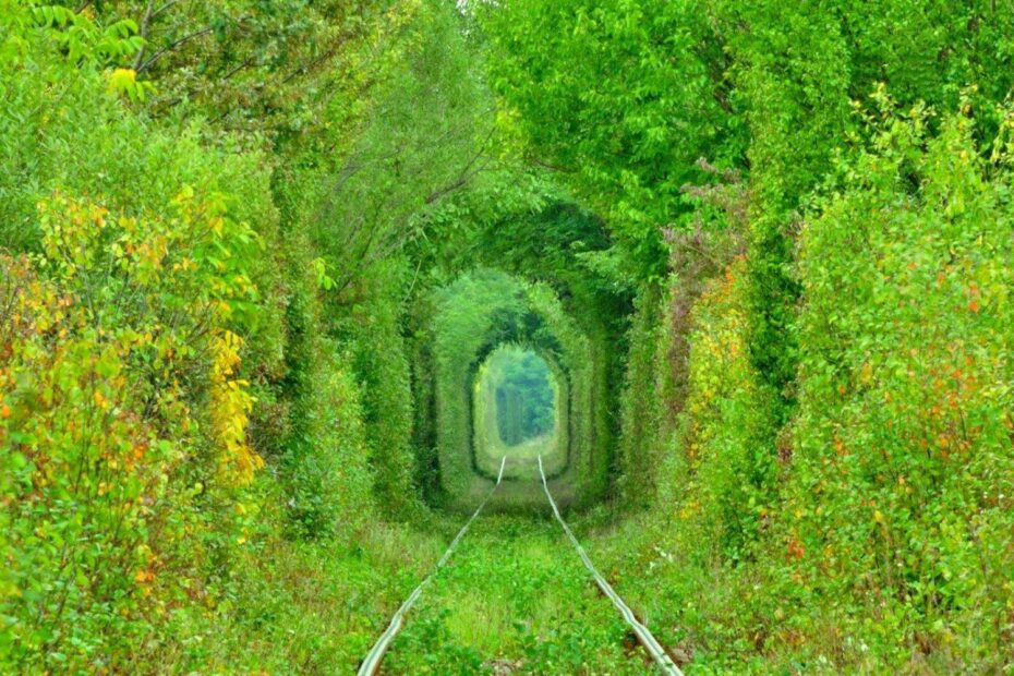 Tunelul Iubirii, colțul de natură devenit simbol al romantismului