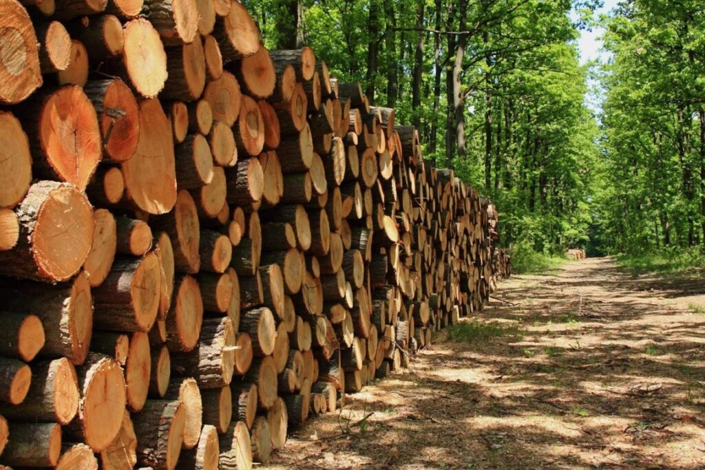 Sebeș și Transilvana SCM, model de dezvoltare economică