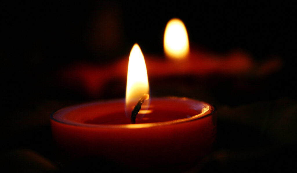 Ferpar. In memoriam - Ion Manea