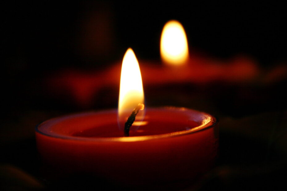Ferpar. In memoriam - Ion Manea